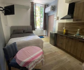 Studio cosy et lumineux en hyper centre 1