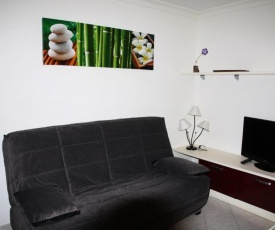 Appartement 5 pers climatisé proche des commerces 72142