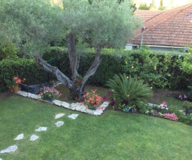 Garden Cap D'Antibes
