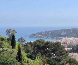Charmant Studio vue mer panoramique