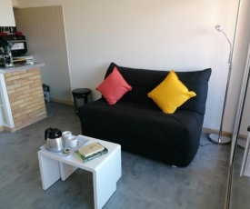 Appartement en bord de mer, résidence Cap Raphael