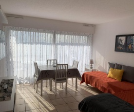 Appartement Saint-Raphaël, 1 pièce, 2 personnes - FR-1-466A-28