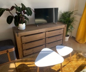 STUDIO NEUF ET PROCHE DES PLAGES DE JUAN LES PINS