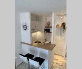 77 Promenade des Anglais - Seafront apartment