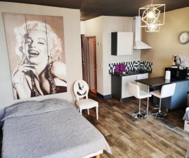 Monroe's studio at the heart of Cannes and beaches