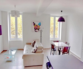 Olam Properties Cannes coeur de ville 2 chambres 2 salles de bain - 4 à 6 personnes - Palais 5 mns