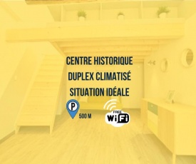 Succés - Très beau Duplex dans le coeur de la ville d'Arles