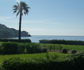 Grand Azur étoile marine Fnc Guicle