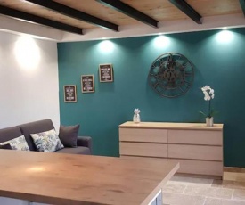 BEL APPARTEMENT DE CHARME - 40M2 - AVIGNON CENTRE VILLE - WiFI GRATUIT