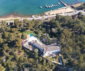 Amadeus Guest House - Chambres d'Hôtes