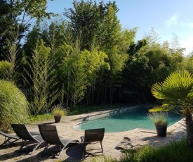 Jolie maison de charme avec piscine proche Avignon