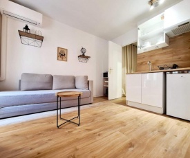 Carré dor, zone piétonne, studio rénové au calme